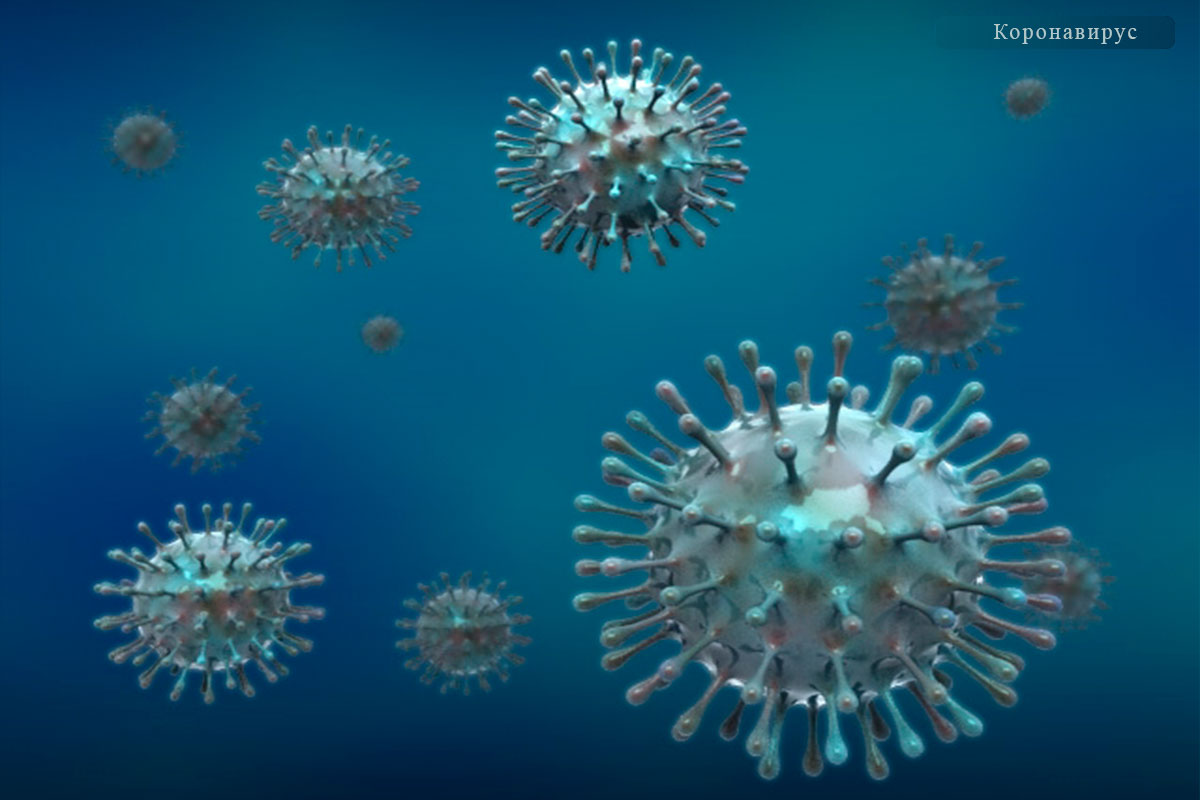 Подробнее о статье Профилактика коронавируса 2020